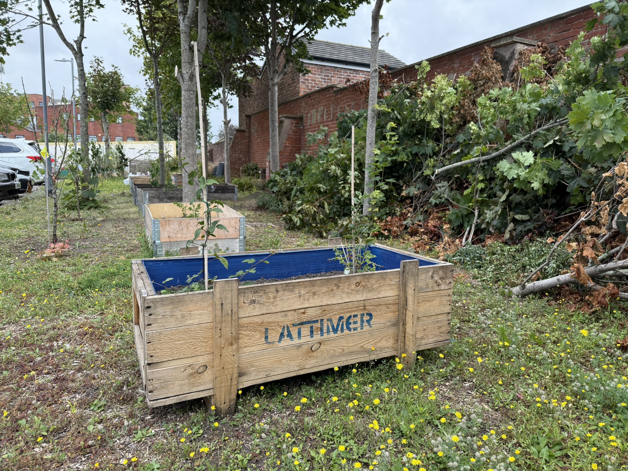 Lattimer in the community